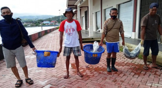Sebagian ke Secapa TNI AD, Ratusan Ikan dari Ambon Diterbangkan ke Jakarta 