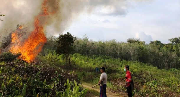 Hutan dan Lahan di Desa Sekolaq Joleq Kalimantan Timur Terbakar