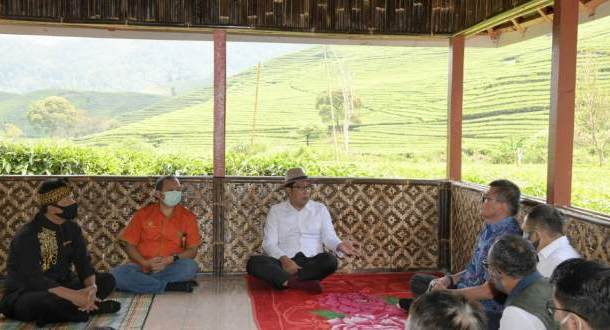 Pemprov Jabar dan PTPN Bakal Alih Fungsi Lahan di Rancabali untuk Peternakan dan Pertanian