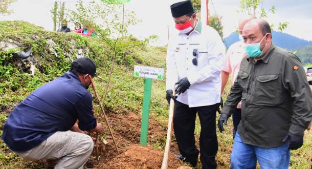 Tingkatkan Ekonomi Masyarakat dan Konservasi,  Pemprov Jabar Tanam 3.000 Pohon di Cianjur