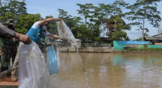 Ridwan Kamil Tebar 2,5 Ton Benih Ikan di DAS Citarum