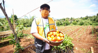 Panen Tomat Di Kawasan Mbah Garut, Yana: Saya Harap Masyarakat Ikut Menikmati