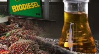 LIPI Usulkan Rumusan Kebijakan Energi Biodiesel Berbasis Penelitian