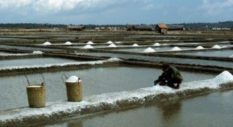 Pemerintah Diminta Stop Ketergantungan Impor Garam