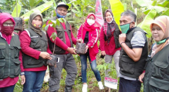 Peringati HUT ke-48 PDIP, Weni Dwi Aprianti Ikut Tanam Ribuan Pohon di Cianjur