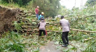 Diterjang Hujan Deras dan Angin Kencang, Pohon Tumbang Tutup Jalan Raya Ciluluk-Cijapati