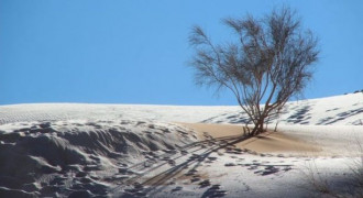 Gurun Sahara di Aljajair Bersalju, Pemandangannya Menakjubkan