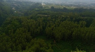 Komunitas Pohon Indonesia Sebut KHDPK Harapan Baru Bagi Pengelolaan Hutan di Jawa 