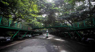 Menikmati Suasana Sejuk Hutan di Kota Bandung