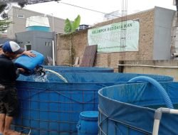 Budidaya Lele Pakai Kolam Terpal, Mang Enti Raup Omzet Rp30 Juta per Bulan