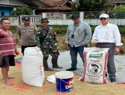 Bulog Jabar Serap 352.680 Ton Beras, Naik 2 Kali Lipat