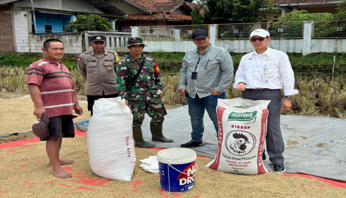 Perum Bulog Wilayah Jawa Barat telah berhasil menyerap 352.680 ton setara beras dari petani lokal di wilayahnya.