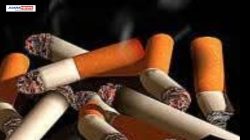 Sebanyak 28 juta Batang rokok ilegal tanpa cukai yang terjaring Satuan Polisi Pamong Praja (Satpol PP) di Kota Bandung dimusnahkan.