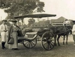 Delman: Jejak Transportasi Tradisional yang Menyisakan Romantisme Masa Lalu