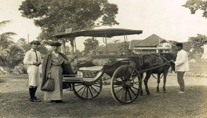 Delman menjadi salah satu ikon transportasi tradisional Indonesia yang paling ikonik, dengan desainnya yang klasik dan elegan.