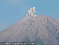 Gunung Semeru Erupsi, Warga Dilarang Beraktivitas dalam Radius 3 Km