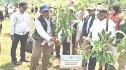 Dalam rangka memperingati Hari Menanam Pohon Indonesia (HMPI) 2025, Kementerian Kehutanan Republik Indonesia menggelar aksi penanaman pohon.