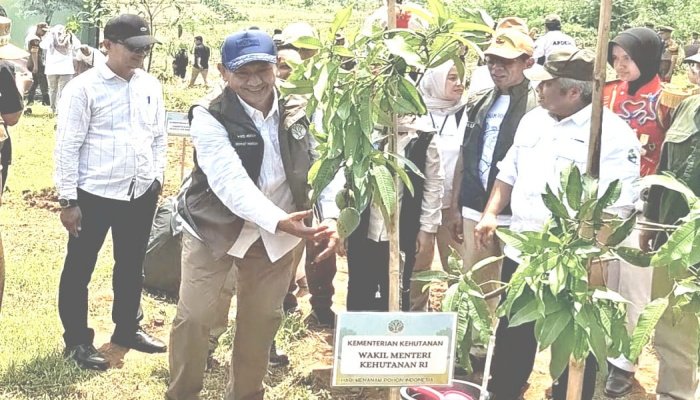 Dalam rangka memperingati Hari Menanam Pohon Indonesia (HMPI) 2025, Kementerian Kehutanan Republik Indonesia menggelar aksi penanaman pohon.
