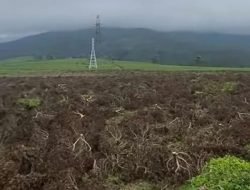 Polresta Bandung Buru Aktor Utama Perusakan Kebun Teh di Pangalengan