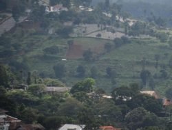 Jabar Siapkan Moratorium Penebangan Hutan untuk Kurangi Risiko Bencana