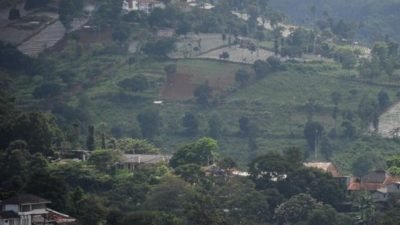 Jabar Siapkan Moratorium Penebangan Hutan untuk Kurangi Risiko Bencana