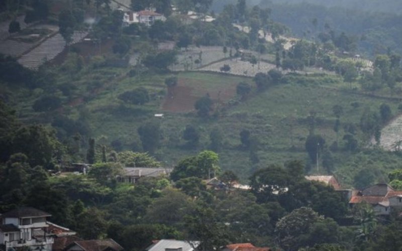 Jabar Siapkan Moratorium Penebangan Hutan untuk Kurangi Risiko Bencana