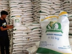 Bantuan Pangan Tahap II Bergulir, Bulog Jabar Pastikan Stok Beras Aman