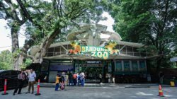 Pemkot Bandung Siapkan Kesempatan Kerja bagi Eks Karyawan Kebun Binatang Bandung