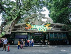 Pemkot Pastikan Kebun Binatang Bandung Jadi Ruang Terbuka Hijau untuk Masyarakat