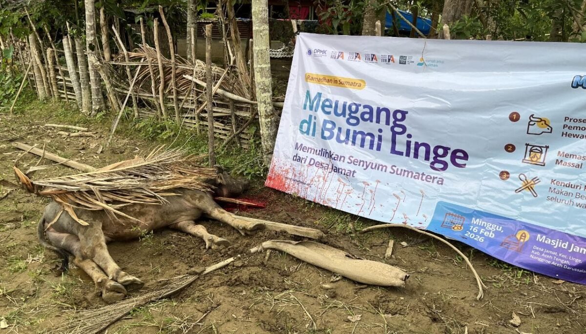 Meugang di Bumi Linge, ITB dan Rumah Amal Hadirkan Kebahagiaan Lewat Pemotongan Kerbau di Desa Jamat