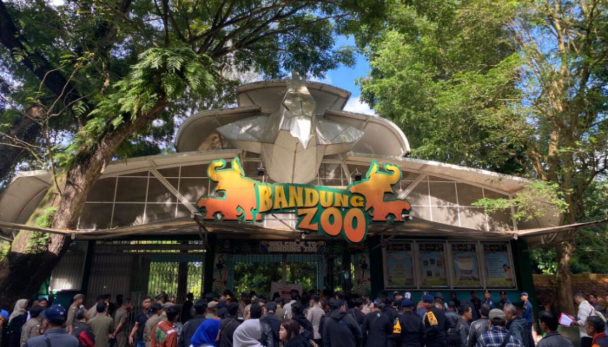 Negara Hadir di Kebun Binatang Bandung: Lindungi Satwa dan Amankan Aset Daerah