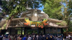 Pemerintah menegaskan kehadiran negara dalam menjaga aset daerah sekaligus menyelamatkan satwa melalui pengamanan BMD Kebun Binatang Bandung. 