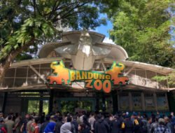 Negara Hadir di Kebun Binatang Bandung: Lindungi Satwa dan Amankan Aset Daerah
