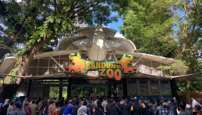 Pemerintah menegaskan kehadiran negara dalam menjaga aset daerah sekaligus menyelamatkan satwa melalui pengamanan BMD Kebun Binatang Bandung. 