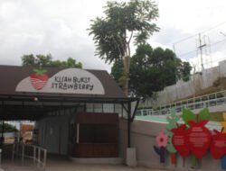 Hompim Play Jadi Magnet Baru Wisata Keluarga di Dago Pakar