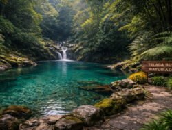 Telaga Sunyi: Harmoni Keindahan Alam dan Misteri di Jantung Baturaden