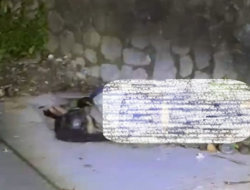 Siswa SMPN 26 Bandung Ditemukan Tewas di Kampung Gajah, Diduga Korban Pembunuhan