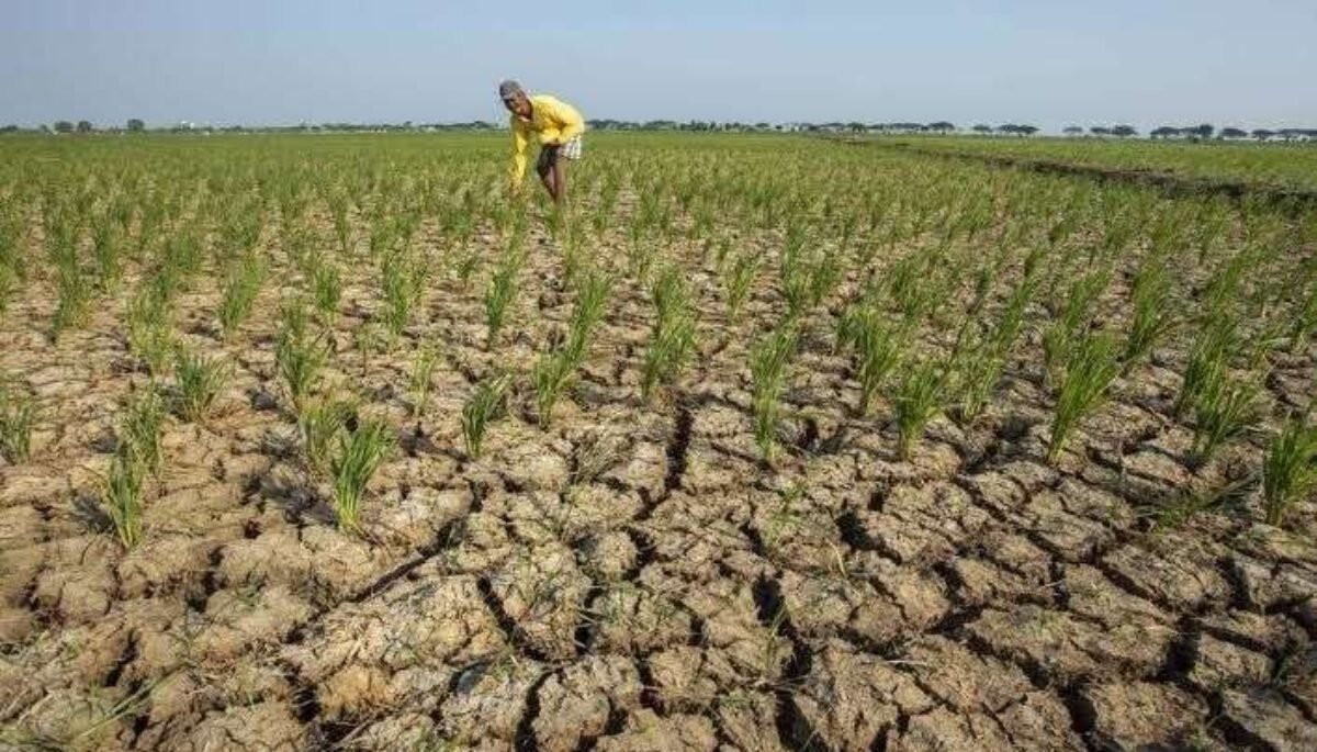 Wilayah Jabar Masuki Kemarau, BMKG Prediksi Lebih Kering dari Normal