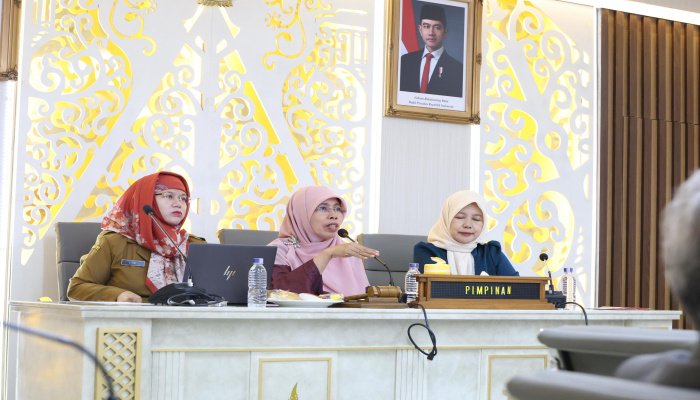 DPRD Provinsi Jawa Barat tengah menyiapkan Rancangan Peraturan Daerah (Ranperda) tentang perlindungan keluarga.