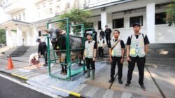 Pengawasan Diperketat 24 Jam, Hewan Kurban di Kota Bandung Sehat