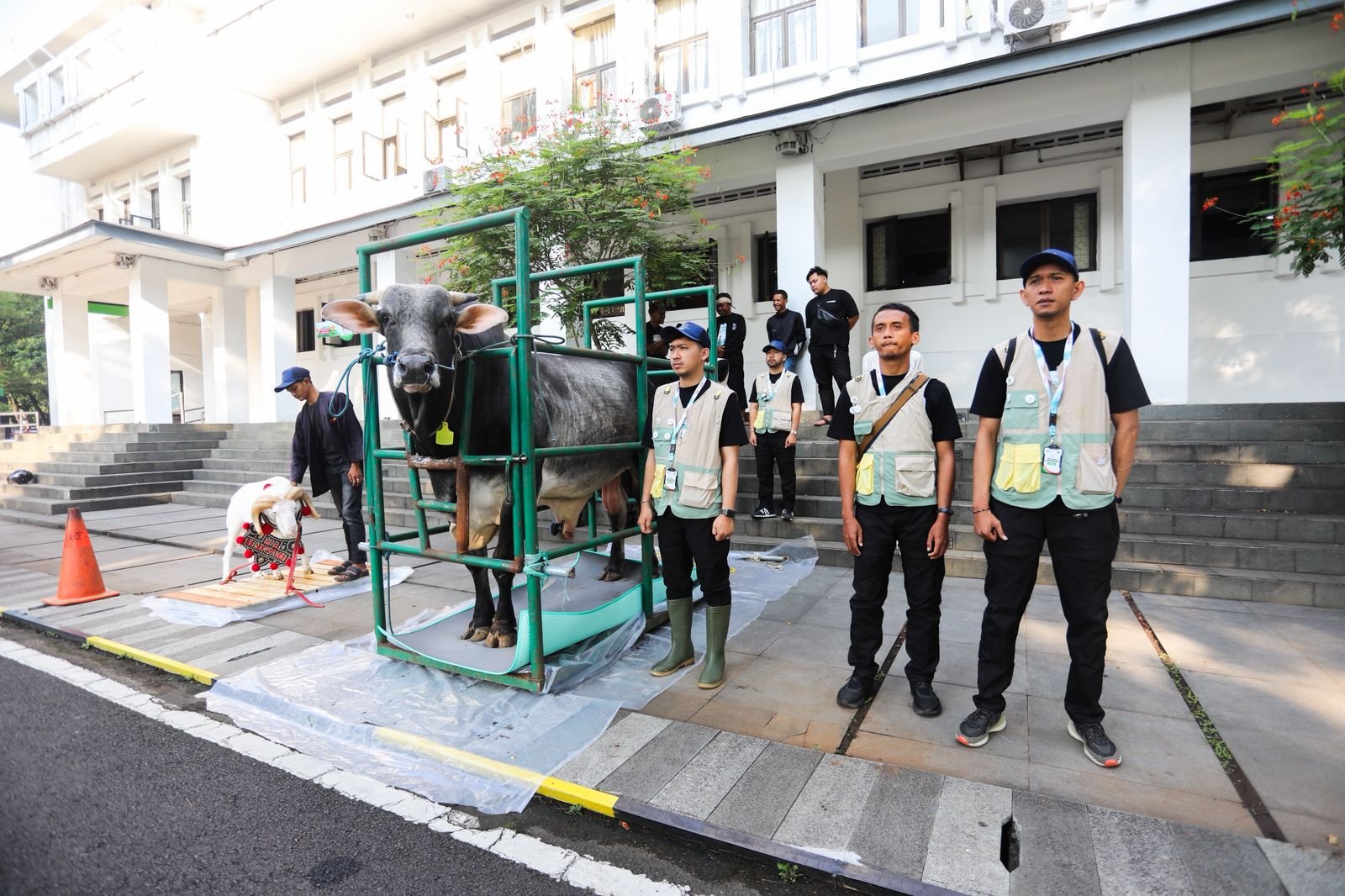 Pengawasan Diperketat 24 Jam, Hewan Kurban di Kota Bandung Sehat