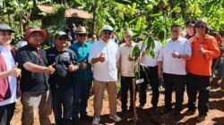 DPRD Kota Bandung Dukung Penanaman Pohon, Perkuat Ruang Terbuka Hijau