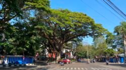 Gelombang Penertiban PKL di Bandung Picu Polemik: Ancaman Pengangguran hingga Tuntutan Solusi Tata Ruang