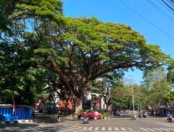 Gelombang Penertiban PKL di Bandung Picu Polemik: Ancaman Pengangguran hingga Tuntutan Solusi Tata Ruang