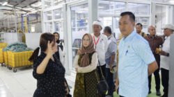 Ratnawati mendorong pengelolaan lingkungan hidup di kawasan industri dilakukan secara berkelanjutan dan sesuai dengan ketentuan yang berlaku.