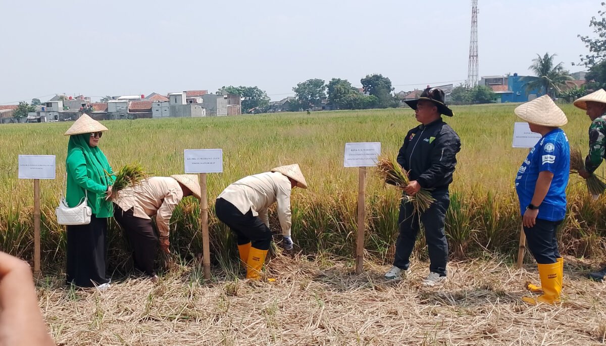 Melimpahnya produksi beras di Kabupaten Bandung belum sepenuhnya diimbangi ketersediaan alat dan mesin pertanian (alsintan) yang memadai. 